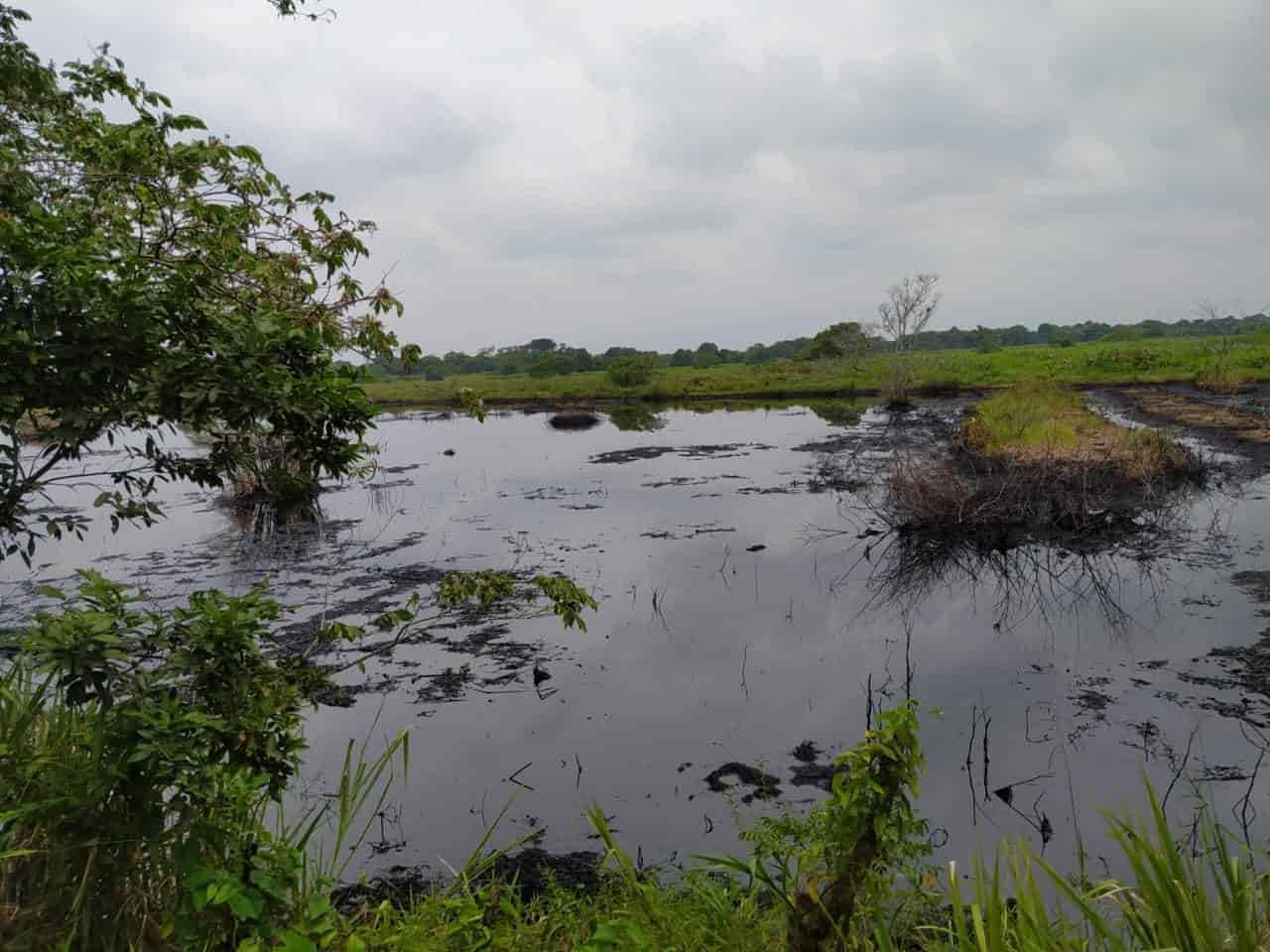 Denuncian vigencia de derrame de hidrocarburos en ranchería de Huimanguillo
