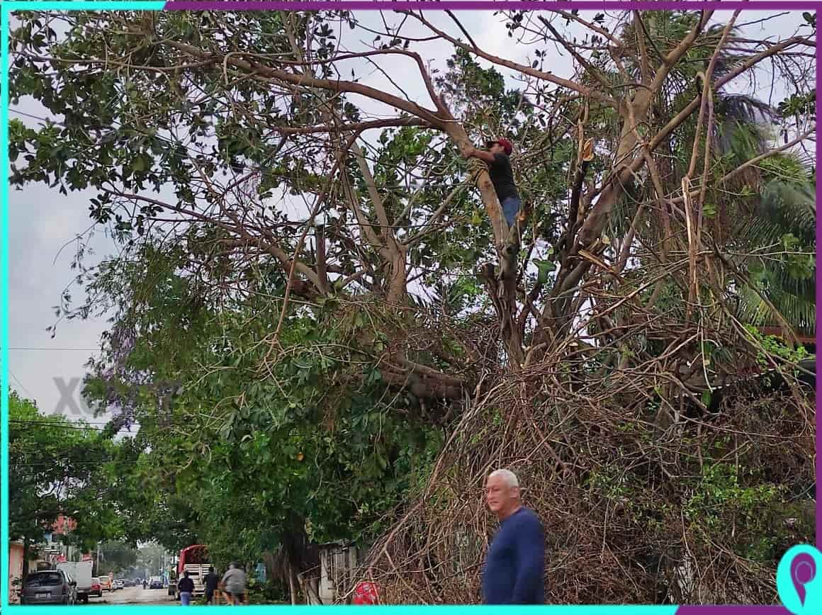 Zeta deja estragos en Playa del Carmen