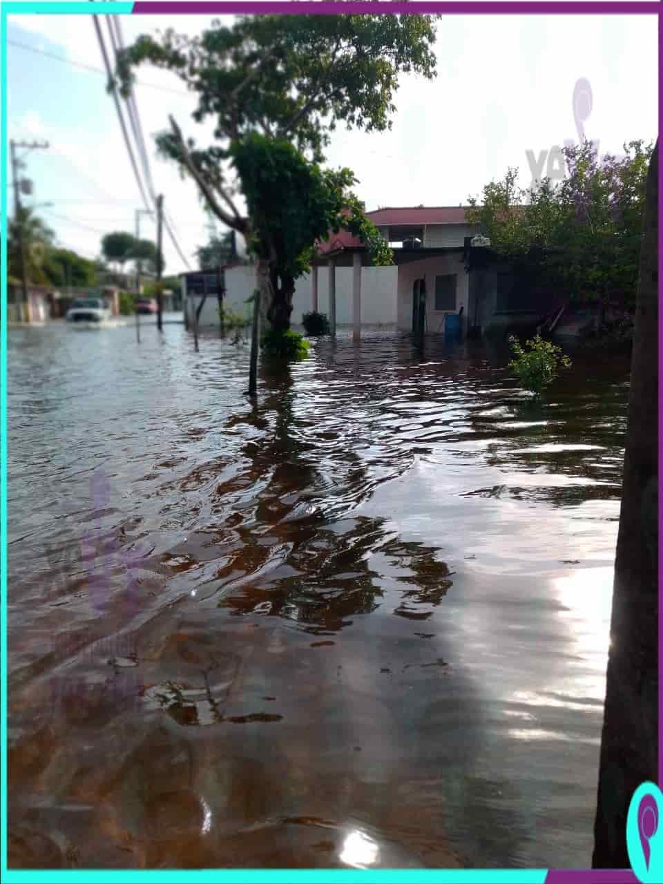 Así se encuentra la ranchería La Lima en Parrilla