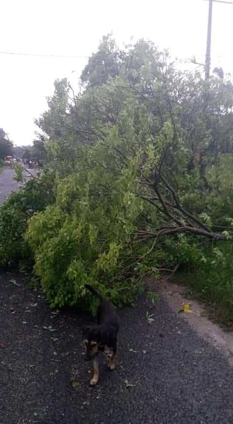 Se registra pequeño tornado en Jonuta Se registra pequeño tornado en Jonuta