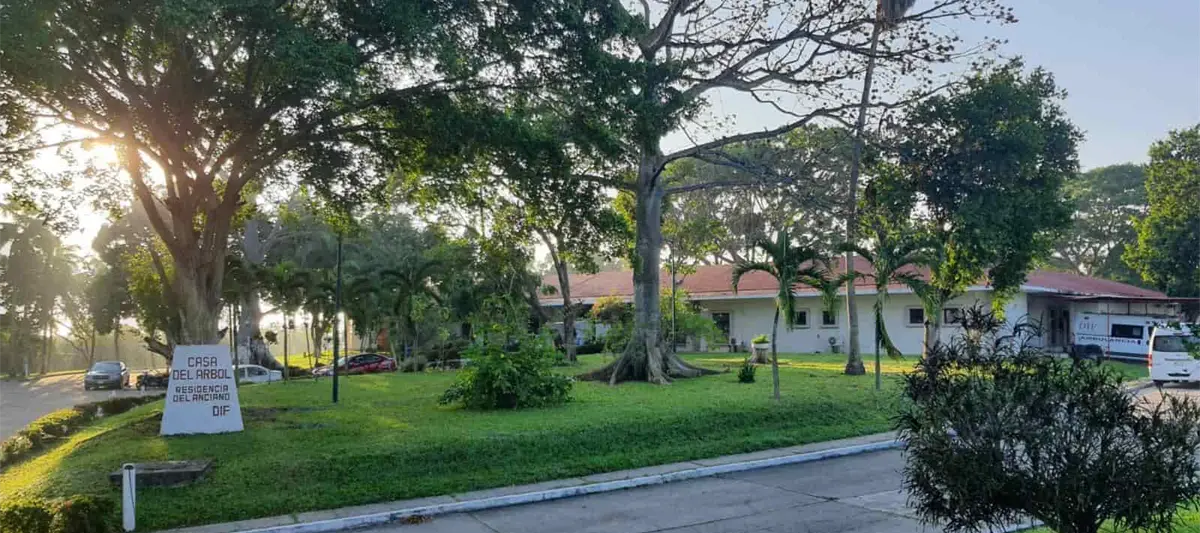 Acusa director del DIF Tabasco campaña contra la Casa del Árbol