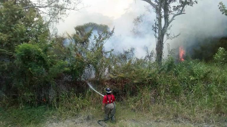 4 incendios forestales en inicio de estiaje Tabasco, reporta Conafor