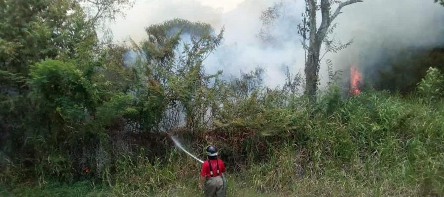 4 incendios forestales en inicio de estiaje Tabasco, reporta Conafor