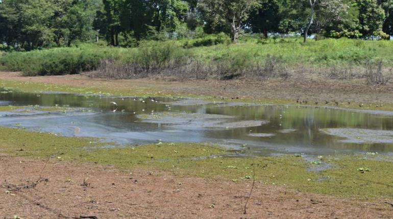 ¡Inicia estiaje en Tabasco! Intenso calor se espera en marzo y abril