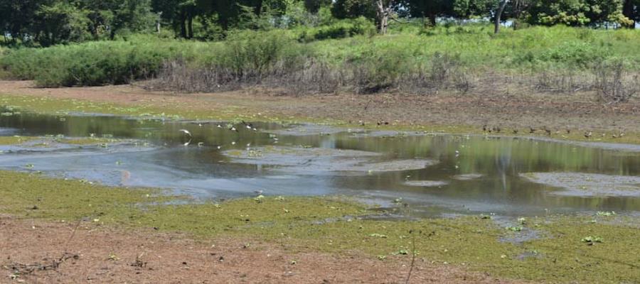 ¡Inicia estiaje en Tabasco! Intenso calor se espera en marzo y abril