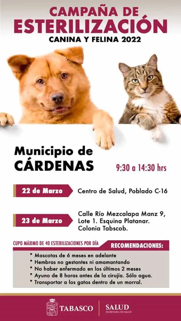 imagen-recuadro imagen-recuadro
