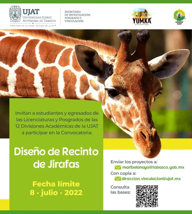 imagen-recuadro imagen-recuadro