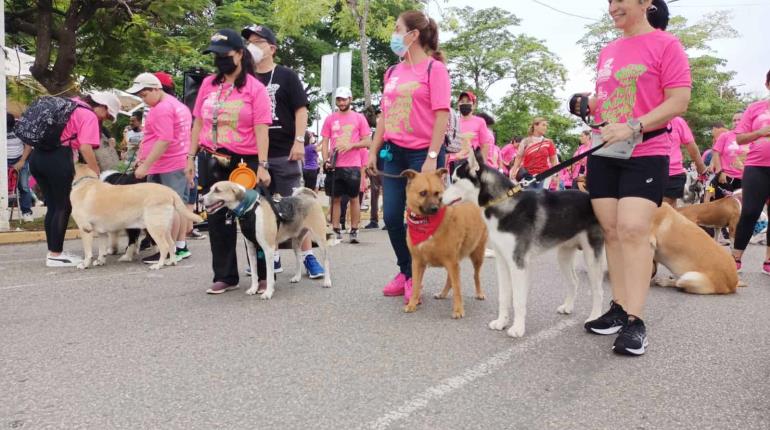 Anuncia Caninos 911 5ta Caninata 2025 Por un Tabasco libre de crueldad animal