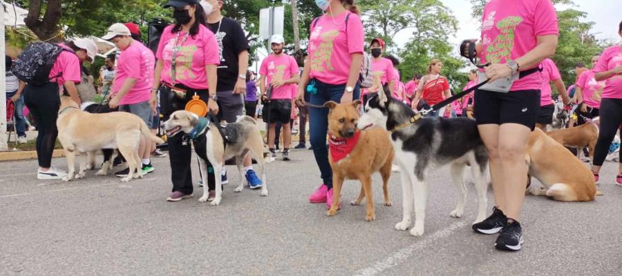 Anuncia Caninos 911 5ta Caninata 2025 Por un Tabasco libre de crueldad animal