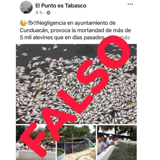 imagen-recuadro