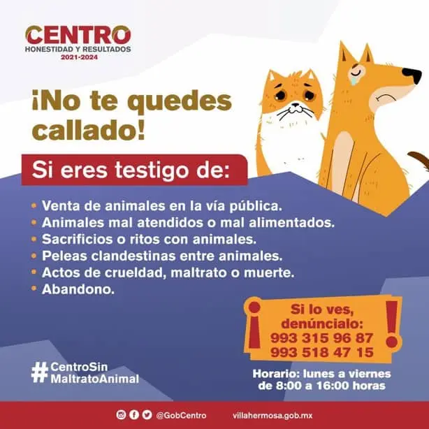 imagen-recuadro imagen-recuadro