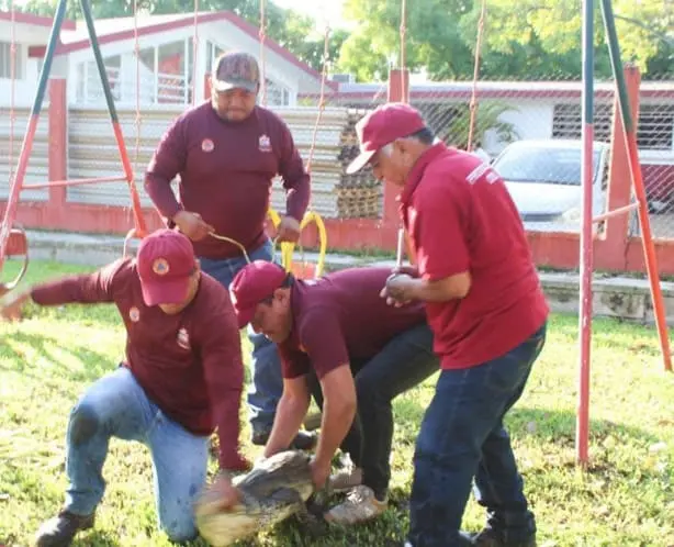 imagen-recuadro