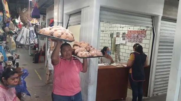 imagen-recuadro imagen-recuadro