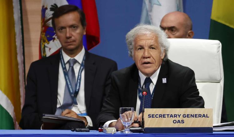 Respalda OEA a Dina Boluarte como presidenta de Perú