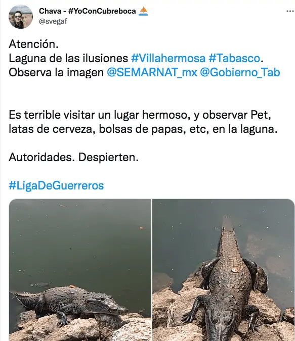 imagen-recuadro imagen-recuadro