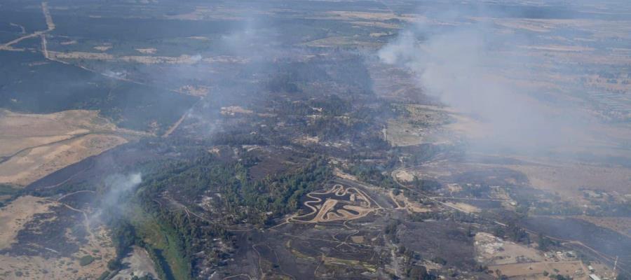 Lamenta Papa muertes por incendios en Chile