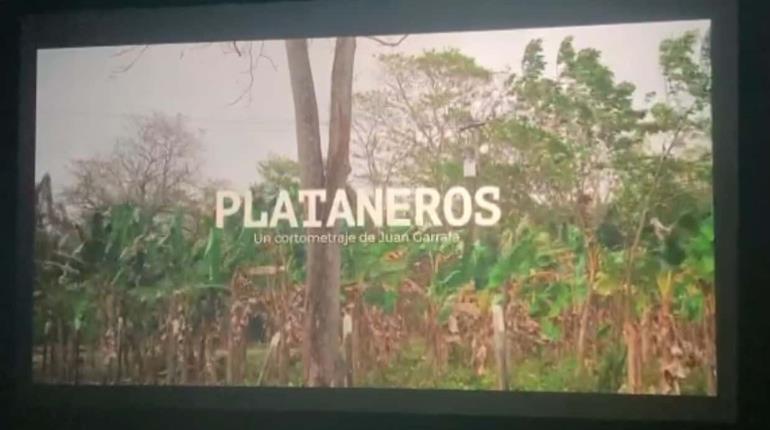 ´Plataneros´, cortometraje de tabasqueño será parte de los ciclos de FICM Presenta 2024