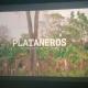 ´Plataneros´, cortometraje de tabasqueño será parte de los ciclos de FICM Presenta 2024