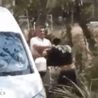 Aseguran a tigre de bengala durante operativo en Culiacán Aseguran a tigre de bengala durante operativo en Culiacán