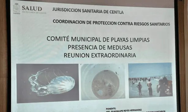 imagen-recuadro imagen-recuadro