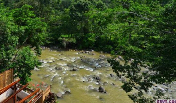 Es falso el avistamiento de cocodrilos albinos en ríos de Teapa: Ayuntamiento  