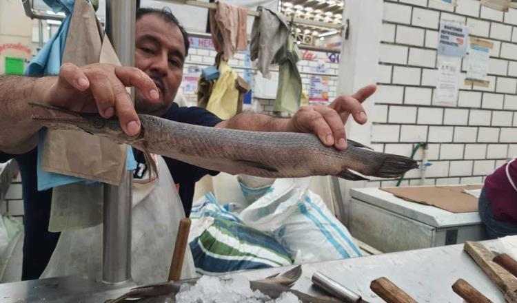 Repunta al 100% venta de pescados y mariscos en el ´Pino Suárez´: Locatarios