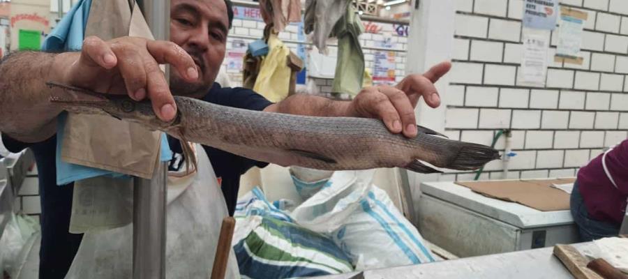 Repunta al 100% venta de pescados y mariscos en el ´Pino Suárez´: Locatarios