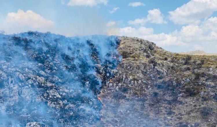 ¡En pleno Viernes Santo! Se combaten casi 50 incendios forestales en México