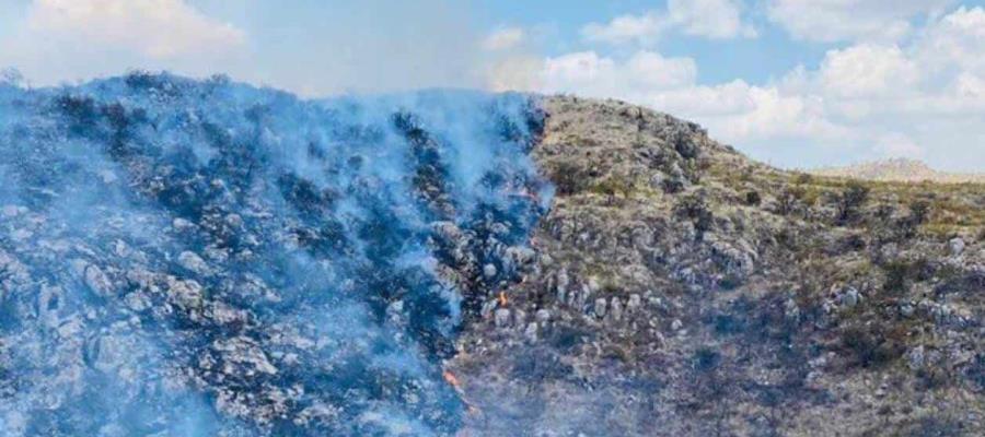 ¡En pleno Viernes Santo! Se combaten casi 50 incendios forestales en México