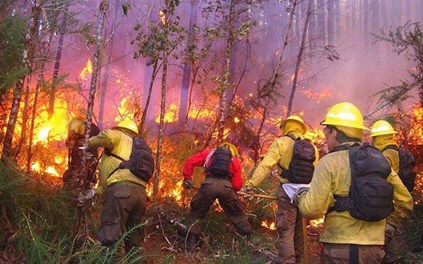Tabasco entre las 5 entidades con mayor superficie siniestrada por incendios: Conafor