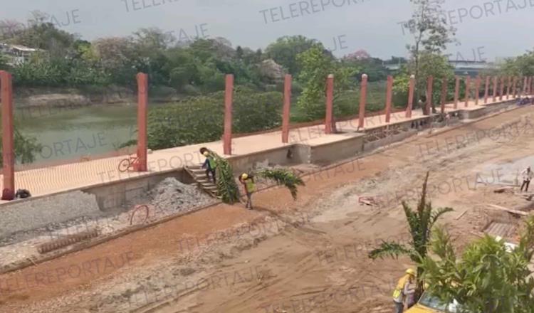 Arranca conformación del Paseo botánico en nuevo malecón Carlos A. Madrazo