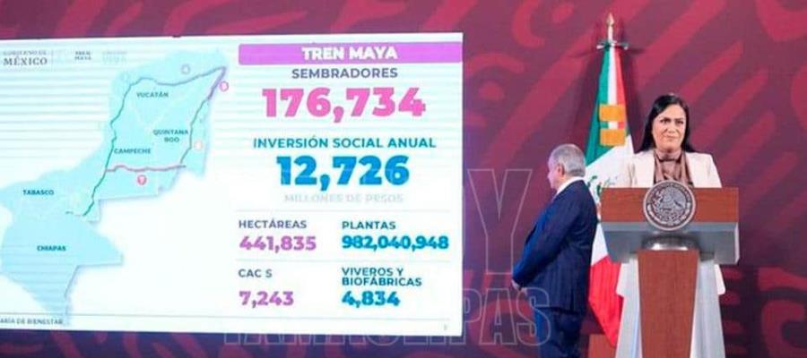 Inversión de Sembrando Vida en estados comunicados por el Tren Maya será superior a los 12 mil 726 mdp: Bienestar