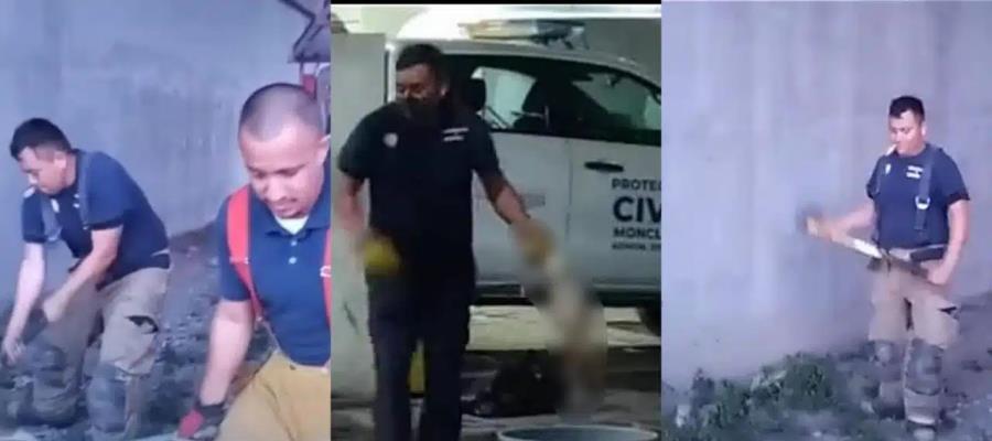 Bomberos de Coahuila rescataban perritos para matarlos