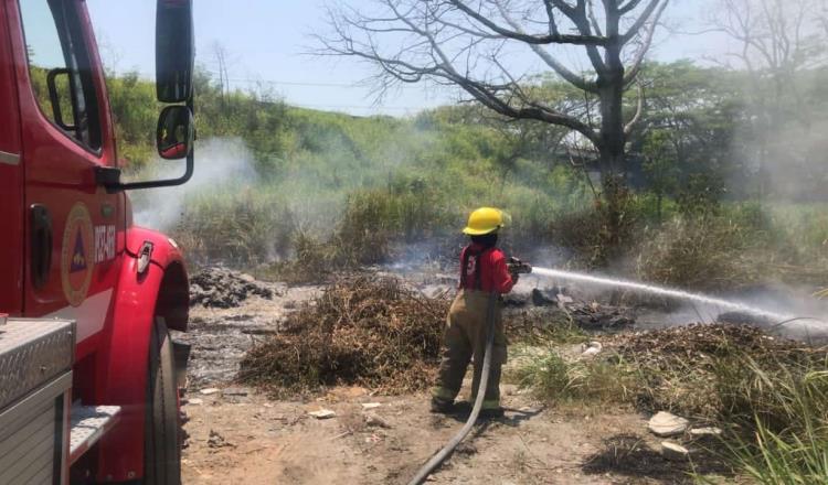 Van cerca de 700 atenciones por quema de pastizales en Tabasco este 2023