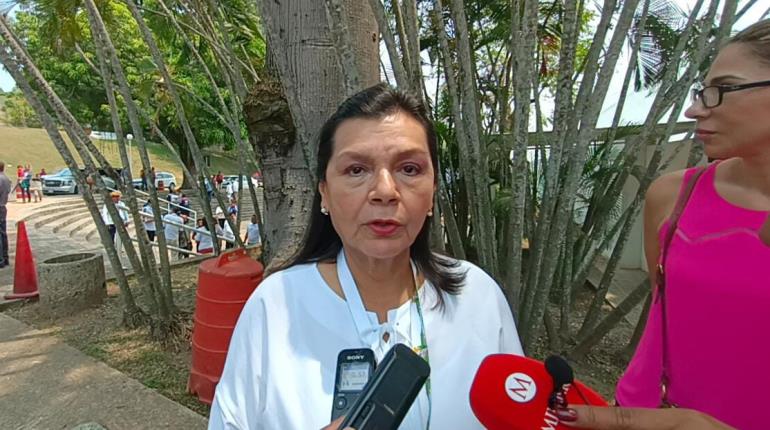 Se requiere estudio de Movilidad para determinar conveniencia del "Hoy no circula", señala Yolanda Osuna