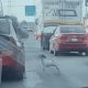 Captan abandono de perrito en calles de NL