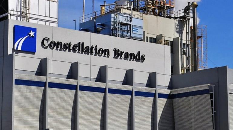 Planta cervecera de Constellation Brands en Veracruz estará lista para el 2024, señala su presidente