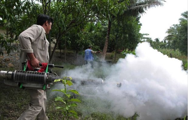 Suman 55 casos de dengue en Centro; no hay ninguna defunción