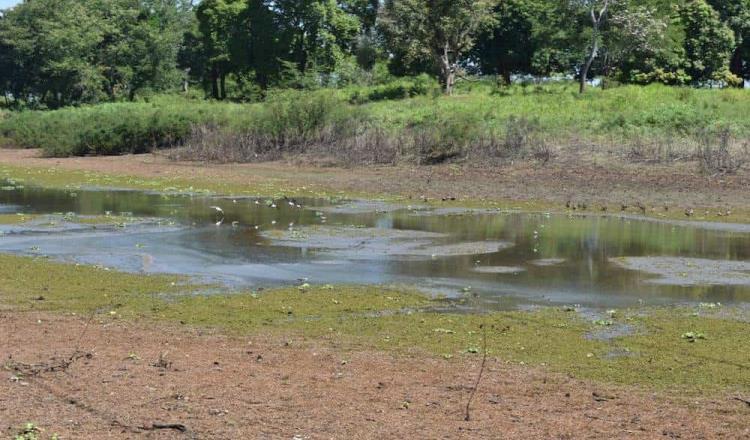 Ganaderos de Tenosique enfrentan falta de agua e incendios de pastizales por temporada de estiaje