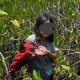 Asegura GN cocaína oculta entre cargamento de piñas en Puebla