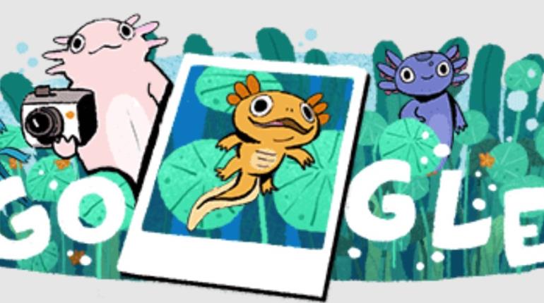 Homenajea Google al ajolote del lago de Xochimilco