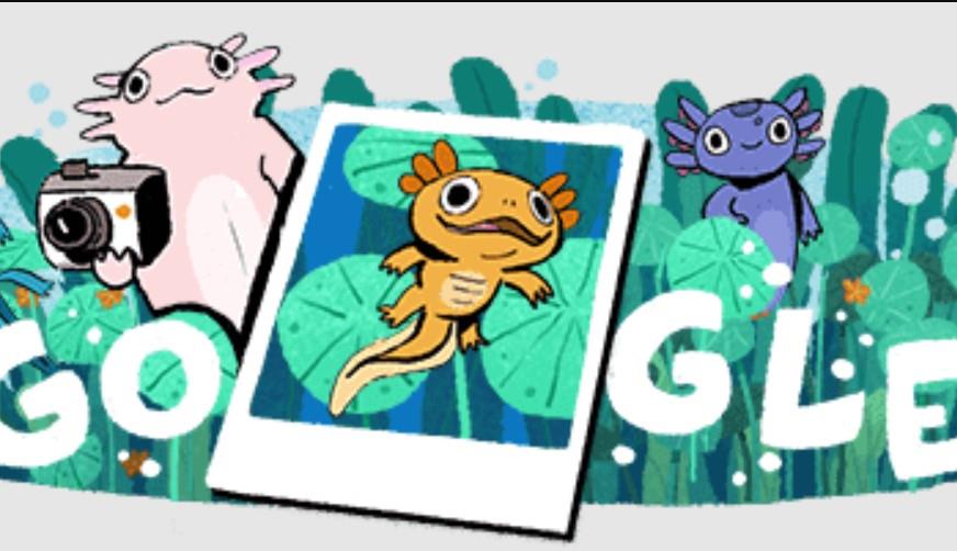 Homenajea Google al ajolote del lago de Xochimilco