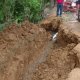 Convoca Centro al Primer Encuentro "Celebrando la Biodiversidad", en el "Tomás Garrido Canabal"