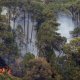 Incendios forestales consumen 6 mil hectáreas en la Sierra Tarahumara