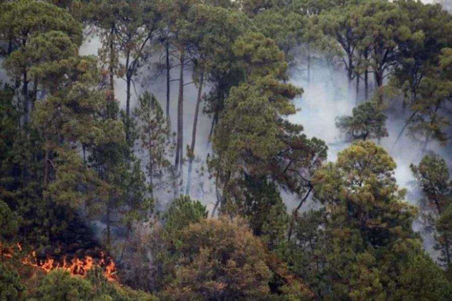 Incendios forestales consumen 6 mil hectáreas en la Sierra Tarahumara