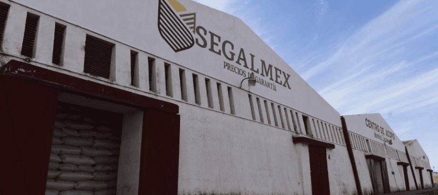 Reportan detención de exdirector comercial de Segalmex en Argentina