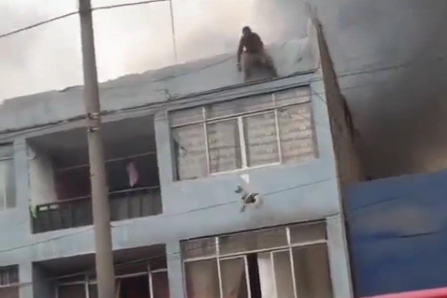 ¡Héroe sin capa! Joven colombiano rescata a más de 20 perritos de un incendio en Perú