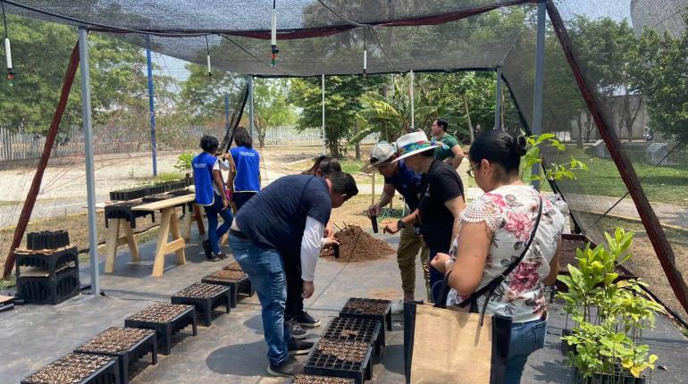 Inauguran ´Vivarium´ al interior del Papagayo; albergará hasta mil plantas