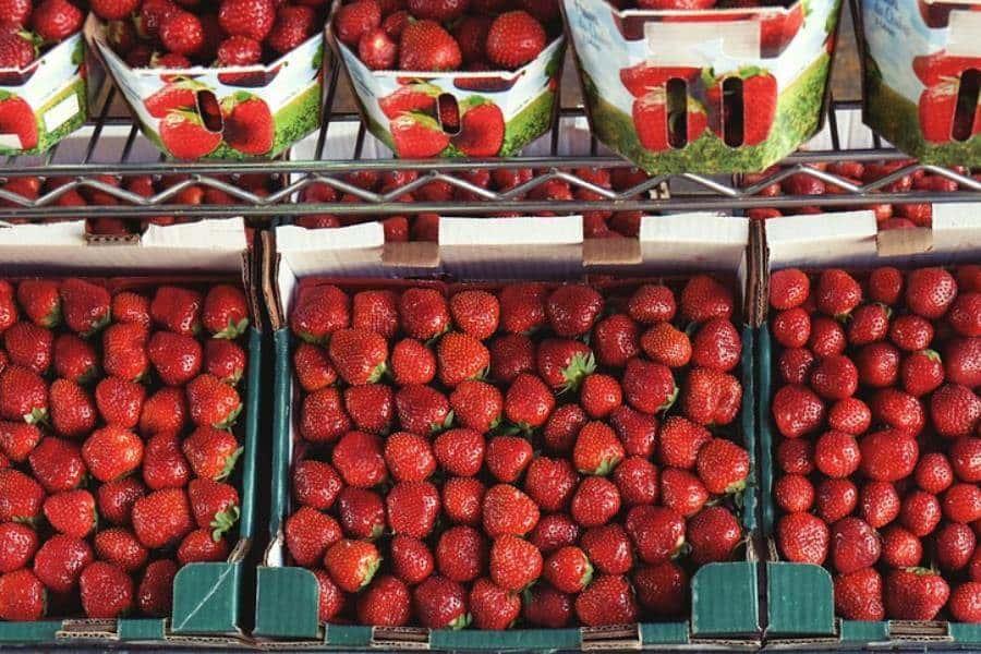 Investiga EE. UU posible hepatitis "A" en fresas cultivadas en Baja California