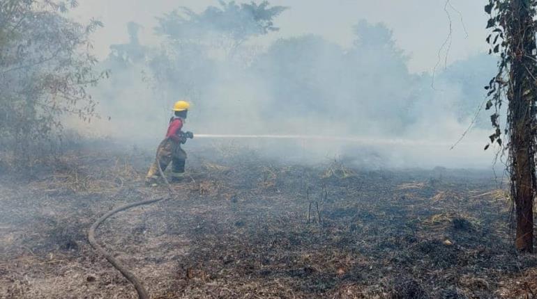 Rechaza Gobierno de Tabasco verse rebasado por incendios; van 125 en el mes